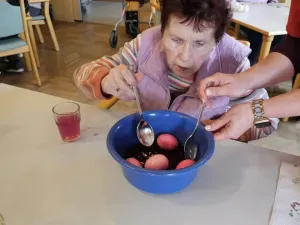 whatsapp image 2026-04-14 at 14.48.33 3